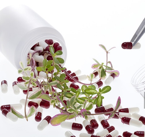 ���м�����ʳƬ���������Ƭ�������о�