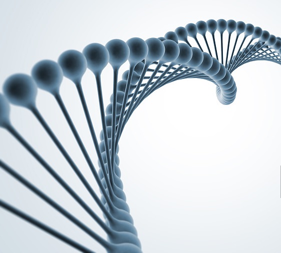 Ӣ���¼�����������ҩ���з�