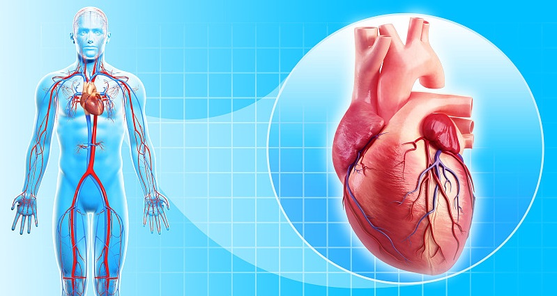 ���������Ĳ���������