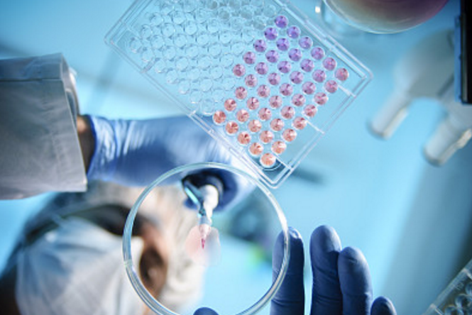 ȫ�������½�ҽԺ��Ϣ����