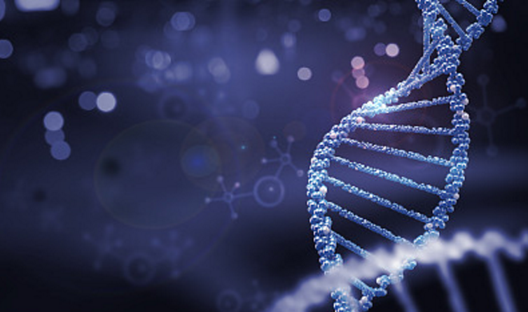 ����ҽ�Ʋ��