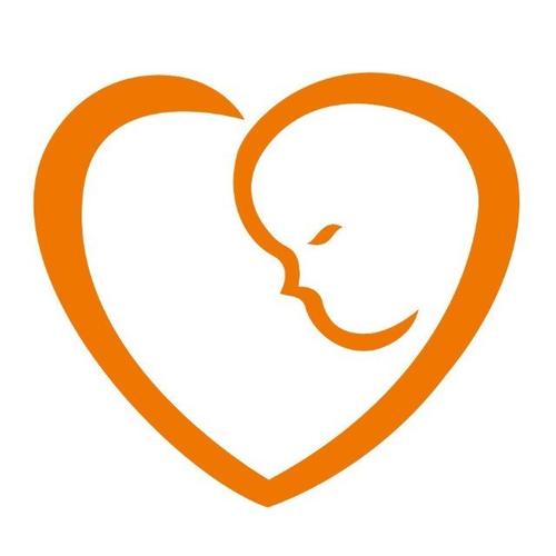 �㶫ʡ���Ѫ��Ѫ��ϸ�����û������о�