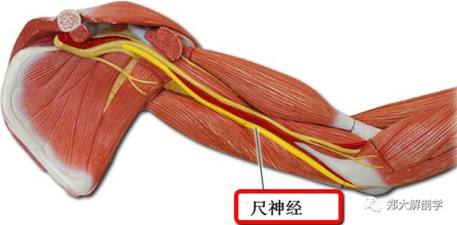 ʲô�ǳ��񾭣�