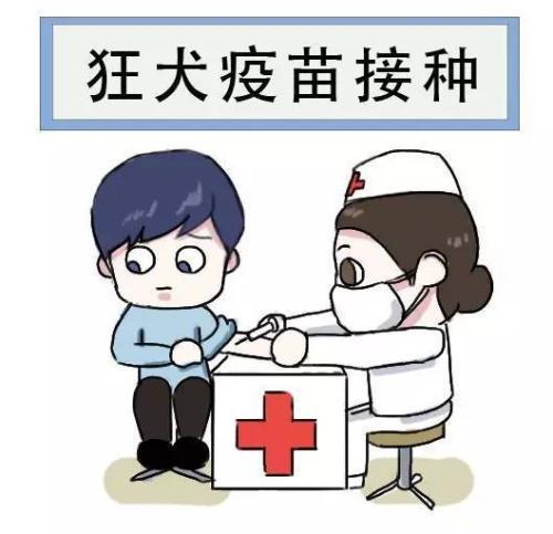 ��Ȯ������