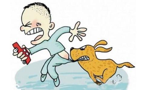 ������ҧ���ˣ���ô�죿