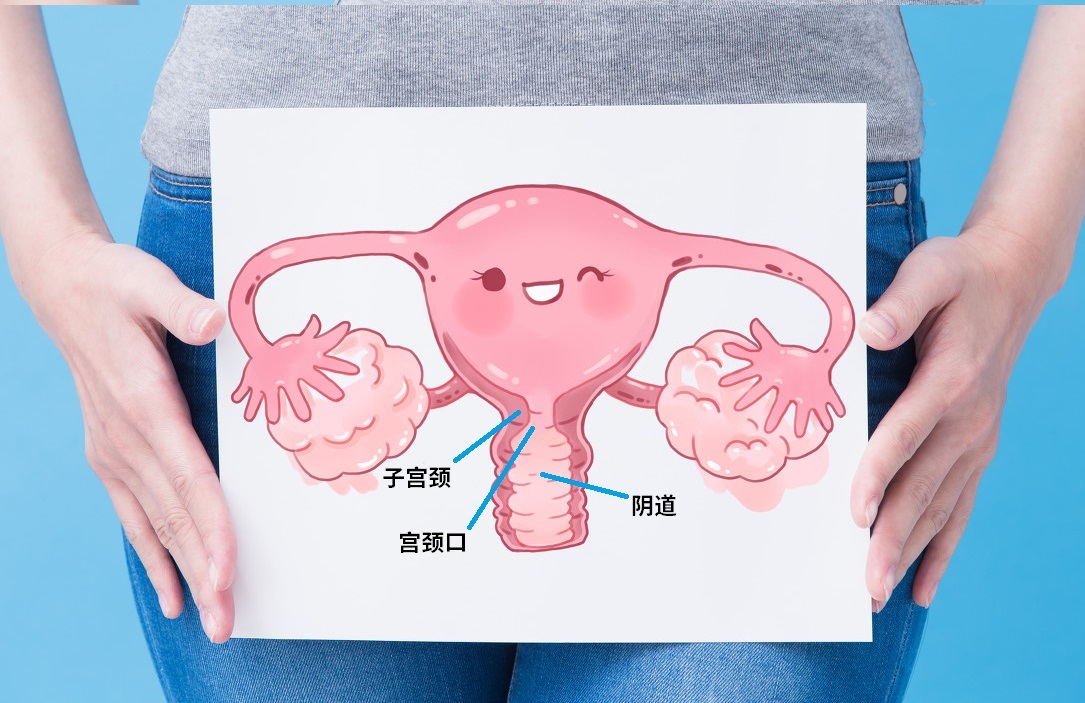 ����Ϣ���乬�����𣿵����ж���£�