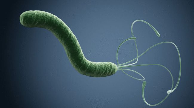 �����������������˾���ҩ���Լ��������о�