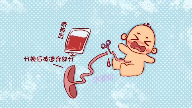 ɽ����Ǹ�ϸ�����̹�˾-���ѪǱ���û����󶴲��о�