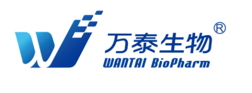 ��̩���﹬���������������о�